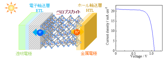 Research on Perovskite Solar Cells<br>Takeoka Yuko, Professor<br>Faculty of Science and Technology, Department of Materials and Life Sciences