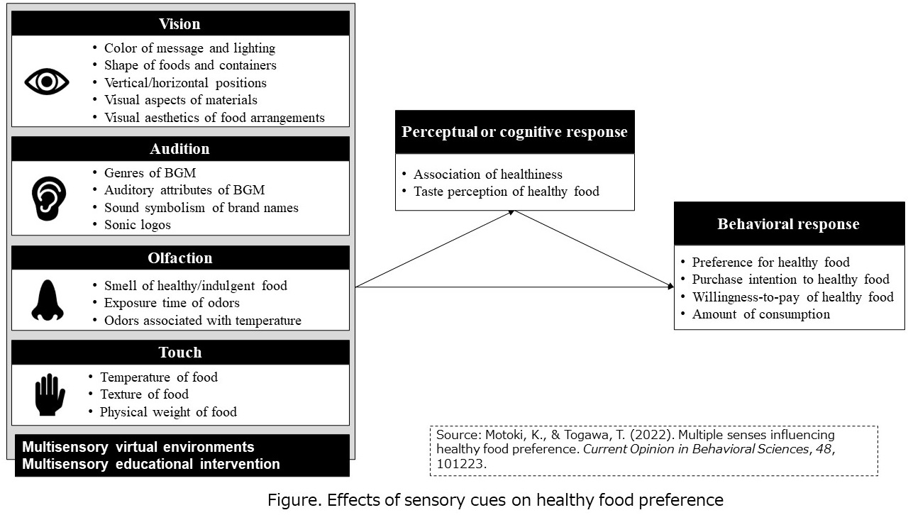 Research on Factors that Promote Healthy Eating Behaviors.<br>Togawa Taku, Associate Professor<br>Faculty of Economics, Department of Management