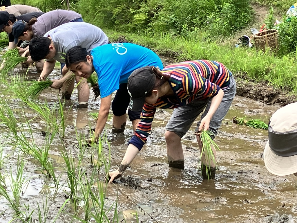 Satoyama Conservation Activities Using Local Traditional Knowledge in the Yato Water Environment