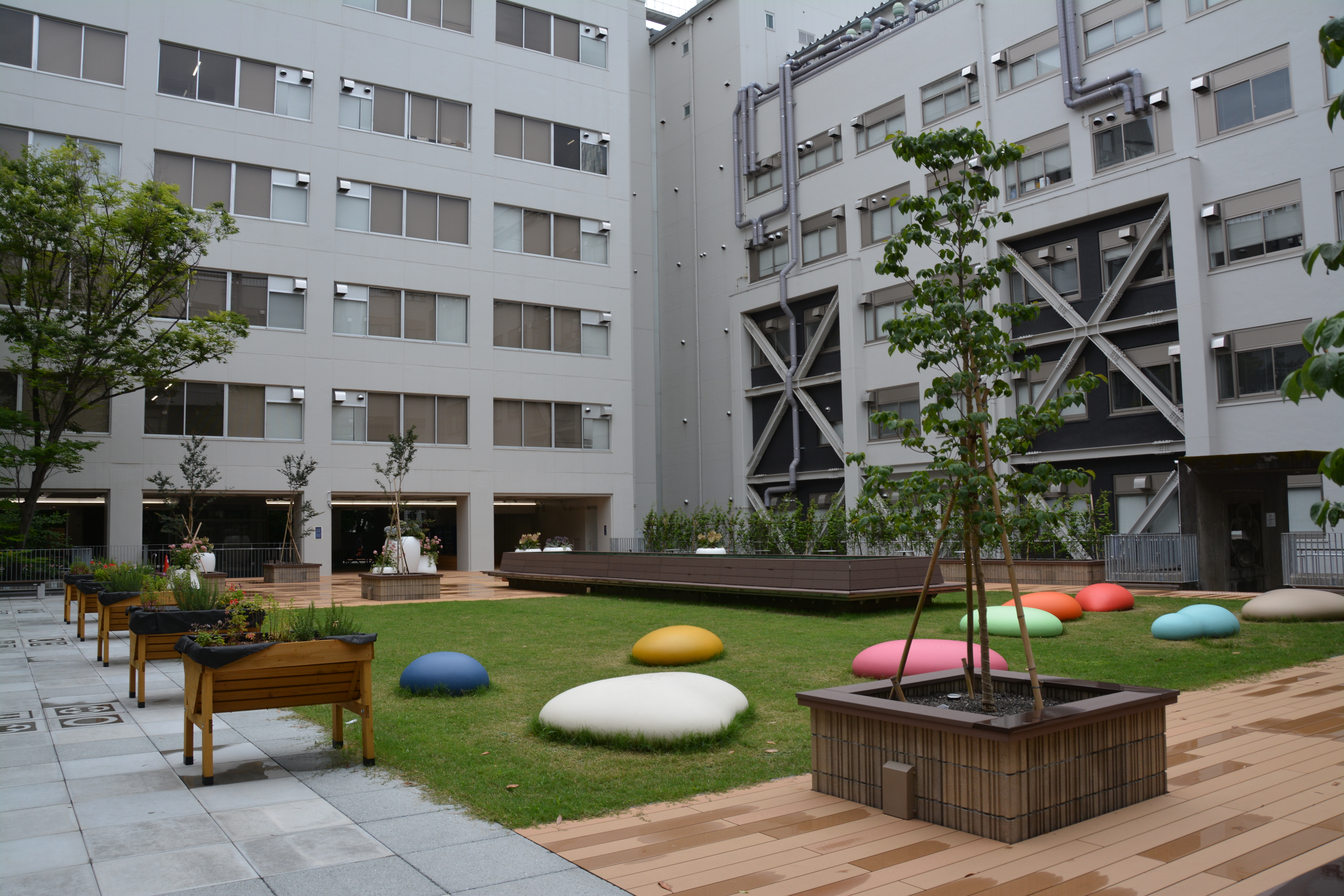 Rooftop Garden Completed Above Building No. 9’s Active Commons Student Staff: Shoji, Yamamoto, Hashino, Kori, Nakai