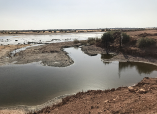 Building a Model for the Sustainable Use of Water and Land Resources in Oasis Communities in the Western Desert of Egypt, Centered on　Community Understanding and Participation
